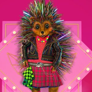 The Masked Singer: Der Igel 的头像