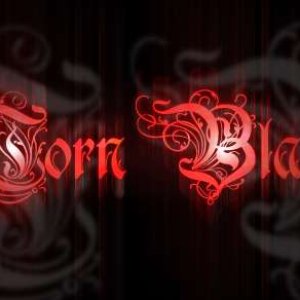 Torn Black 的头像