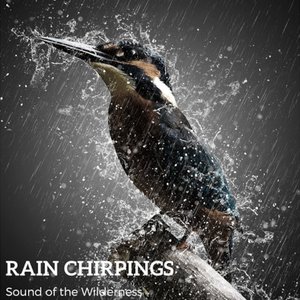 Rain Chirpings