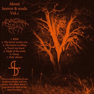 About Horror & Souls, Vol. 1