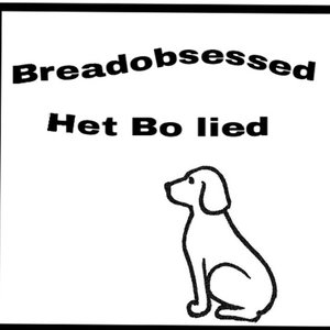 Het Bo lied