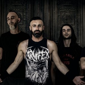Stone Horns 的头像
