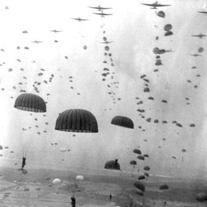 American Paratrooper 的头像