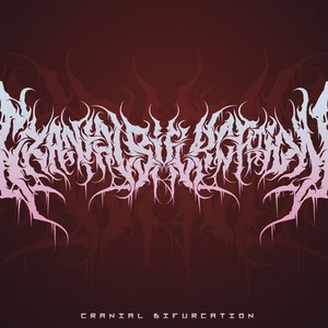 Cranial Bifurcation 的头像