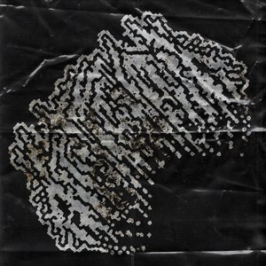-_SPECIMEN_SEI_____(PROBE#1262011)