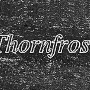 Thornfrost 的头像