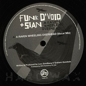 Avatar for Funk D'Void And Sian