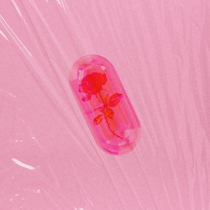 片依存