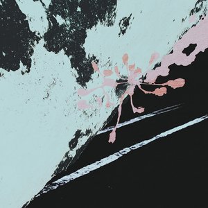 Mantis 0s