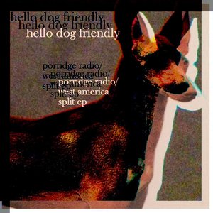 hello dog friendly