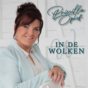 Artwork for in de wolken