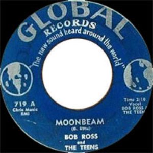 Bob Ross & The Teens 的头像