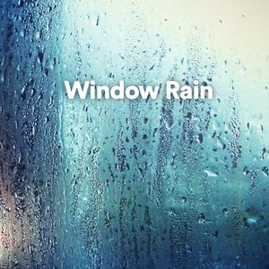 Window Rain