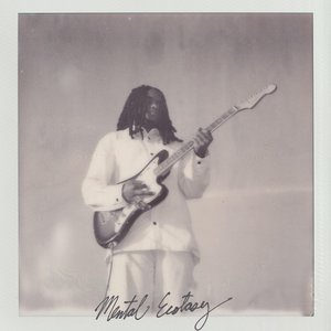 Mental Ecstasy