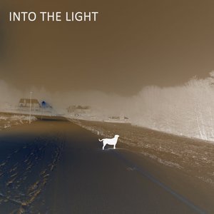 Into the Light