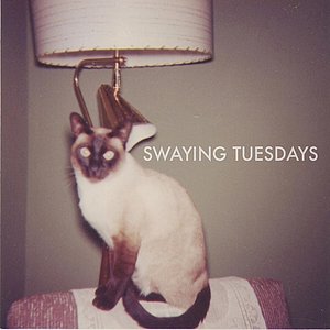 Swaying Tuesdays