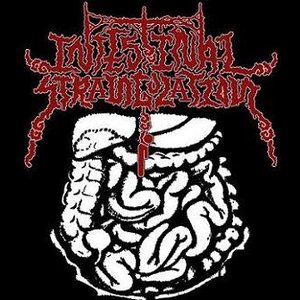 Intestinal Strangulation