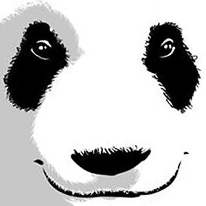 Avatar for The Panda Eyes
