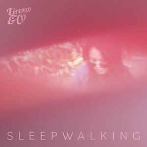 Sleepwalking