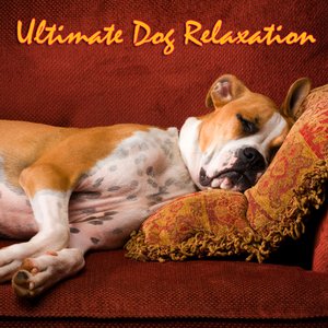 Bild für 'Ultimate Dog Relaxation'