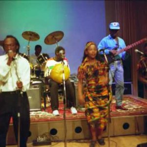 Thomas Mapfumo and the Blacks Unlimited için avatar