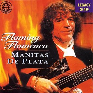 Flaming Flamenco