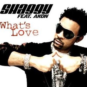 Shaggy Feat. Akon 的头像