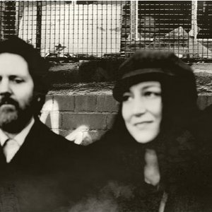 Dark Green Tree 的头像