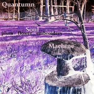 Image for 'Quantumn Soul Machine'