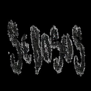 Sebosus için avatar