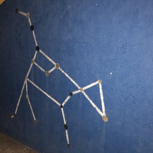 ()()()()