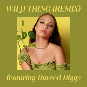 Wild Thing (feat. Daveed Diggs) [Remix] - Single
