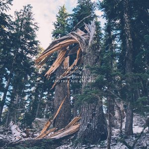 Resident Frequencies