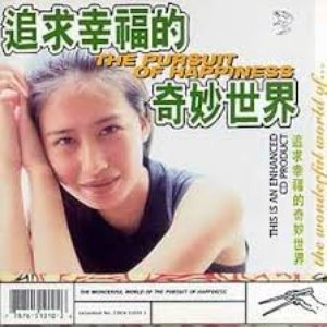 The Wonderful World Of The Pursuit Of Happiness (Audio)