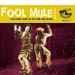 Fool Mule
