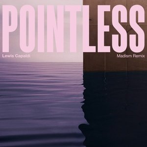 Pointless (Madism Remix)
