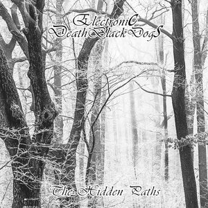 The Hidden Paths