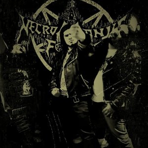 Necromagiuz 的头像