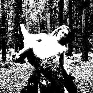 Image for 'Widerwertig'