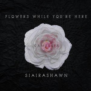 Flowers While You're Here: Camellia
