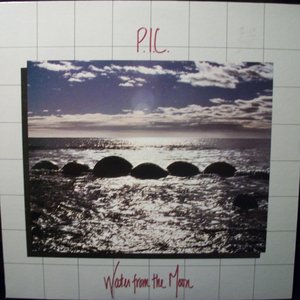 Avatar for P.I.C.
