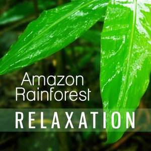 Amazon Rainforest Relaxation: Healing Music Therapy - Exceptional Nature Sounds for Meditation, Reiki, Spa and Sleep