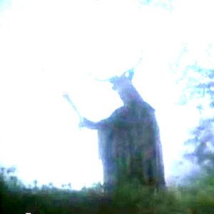 betteroffsync 的头像