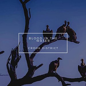 Blood in the Water