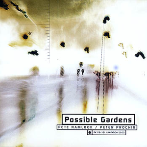 Possible Gardens cover