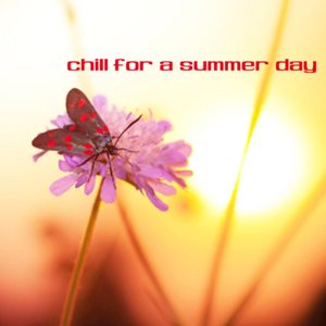 Chill For A Summer Day