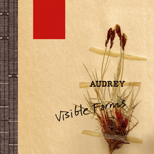 Visible Forms (LP)