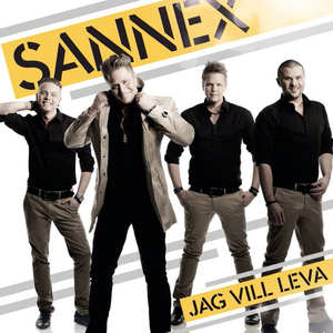 Artwork for Det flammar till