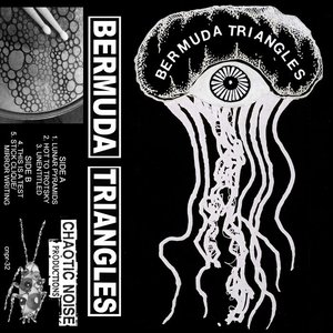 BERMUDA TRIANGLES "untitled cassette"