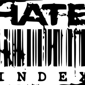 Hate Index 的头像